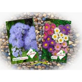 Arzuman 2'li Süs Bitkileri Tohum Paketi (Vapur Dumanı-Aster) - 1
