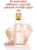 Avon Celebre Kadın EDT Parfüm ve Vücut Spreyi Seti thumbnail 3