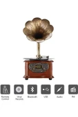 RMJ-209C Gramofon Pikap Radyo Bluetooth Usb Plak Çalar - 5