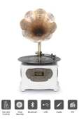 RMJ-209C Gramofon Pikap Radyo Bluetooth Usb Plak Çalar Beyaz thumbnail 4