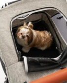 Zampa Stroll L01G-G Gri Kedi Köpek Arabası - Katlanabilir, Geniş Pusetli, 55 Kg Taşıma - 5