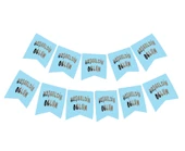 pilelistore Hoşgeldin Oğlum Yazılı Mavi Üzeri Gümüş Yeni Doğan Bebek Doğum Süsü Afiş Bayrak Flama 2.2 Metre - 1