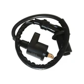 Cup Cg Dış Bobin+Buji Başı Kablolu Activa Fızyy Beat-100 thumbnail 2