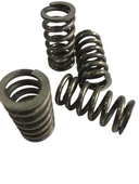 Ybr Farklı Debriyaj Baskı Yayı Takım thumbnail 1