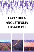 Antik Şifa Lavanta Yağı (20 ML) -%100 Saf Doğal Lavanta Uçucu Yağı thumbnail 2