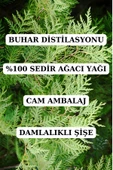 Antik Şifa Sedir Ağacı Yağı - 10 ml (SEYRELTİLMEMİŞ, DOĞAL UÇUCU YAĞ) thumbnail 3