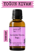 Antik Şifa Lavanta Yağı (10 ML) - %100 Seyreltilmemiş, Doğal Seyreltilmemiş Lavanta Uçucu Yağı thumbnail 1