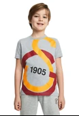 Galatasaray Büyük Logolu Çocuk Tee Gri T-shirt - 1