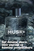 AVON Musk+ Mineralis Erkek Parfüm EDT 75ml - 1