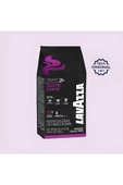 LAVAZZA EXPERT GUSTO FORTE ÇEKİRDEK KAHVE 1 KG - 1