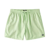 Billabong All Day Lb Çocuk Yeşil Volley Short thumbnail 1