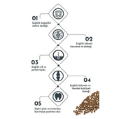 Pro Performance Somonlu ve Yaban Mersinli Küçük Irk Yetişkin Köpek Maması 2 Kg thumbnail 3