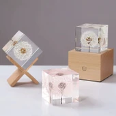 Epoksi Silikon Kalıp Küp Modeli 4x4x4 CM thumbnail 2