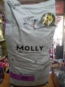 molly kısırlaştırılmış kuru kedi mama tavuklu 15 kg+ 100 GRAM MALT - 1