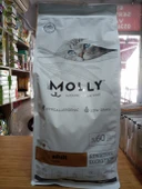 Molly Hypoallergenıc Kuru Kedi Mama Kuzu Etli 2 kg - 1