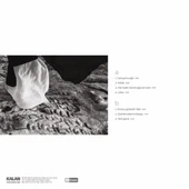 Bejan Matur Yedi Gece - Plak - 2