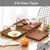 Porsima 709-C Kare 3'lü Dekoratif Ev Banyo Mutfak Düzenleyici Kulplu Hasır Sepet Seti Hasır Tepsi thumbnail 1