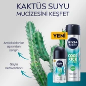 Nivea Men Roll-On Cool Kick Fresh 50 ml thumbnail 2