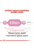 Kitten Yavru Kediler Için Kuru Kedi Maması 10 kg thumbnail 4