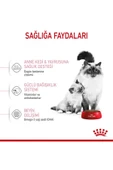 Mother&babycat Gebe/laktasyondaki Anne Ve Yavru Kedi Için Kuru Kedi Maması 2kg thumbnail 5