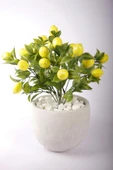 Yapay Limon Ağacı Tanzimi Beton Saksıda Yapay Çiçek Yapay Bitki - 2