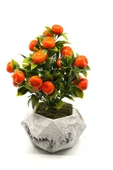 Mermer Desenli Geometrik Beton Saksıda Mandalina Ağacı 35cm - 2