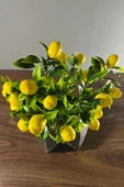 Eskitme Boyalı Geometrik Beton Saksıda Limon Ağacı 35cm - 3