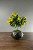 Eskitme Boyalı Geometrik Beton Saksıda Limon Ağacı 35cm - 1