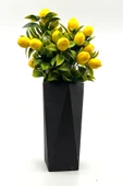 Siyah Geometrik Beton Vazoda Limon Demeti 40 Cm - 1