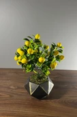 Eskitme Boyalı Geometrik Beton Saksıda Limon Ağacı 35cm - 2