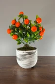 Mermer Görünümlü Beton Saksıda Mandalina Ağacı 35cm - 2