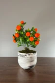 Mermer Görünümlü Beton Saksıda Mandalina Ağacı 35cm - 1