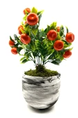 Mermer Görünümlü Beton Saksıda Mandalina Ağacı 35cm - 3