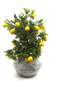 Geometrik Mermer Desenli Beton Saksıda Limon Ağacı - 1