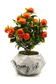 Mermer Desenli Geometrik Beton Saksıda Mandalina Ağacı 35cm - 1