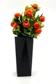 Siyah Geometrik Beton Vazoda Mandalina Demeti 40 Cm - 1