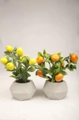 Yapay Bitki Geometrik Beton Saksıda Dekoratif Limon Ve Portakal Ağacı Tanzimi - 7