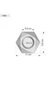 Altıgen Tepsili Mini Mermer Desenli Beton Saksıda Limon - 3