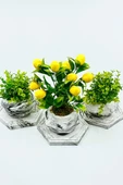 Altıgen Tepsili Mini Mermer Desenli Beton Saksıda Limon Yeşillik 3'lü Set - 1
