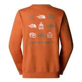 The North Face outdoor graphıc crew ıron bronze - 3