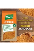 Knorr Baharat Serisi Toz Zerdeçal 60 gr X 4 Adet thumbnail 3
