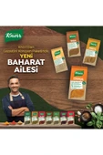 Knorr Baharat Serisi Toz Zerdeçal 60 gr X 4 Adet thumbnail 6
