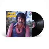 Ferdi Tayfur Derbeder Orijinal 45'lik Plak Kayıtları - Plak - 3