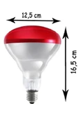 (6 Adet) 250W Kızılötesi Isıtıcılı Hayvan Isıtma ve Kuluçka Lambası (Kırmızı Işık) E27 (Kalın Duy) - 4