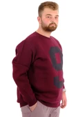 Mode XL Büyük Beden Erkek Sweatshirt 3 İplik Şardonlu Baskılı NINE U24528 Mürdüm thumbnail 3