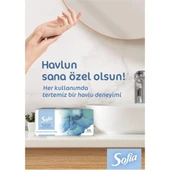 Sofia Tek Kullanımlık El Yüz Havlusu 100 Lü 501268 (12 Paket) - 2