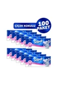 SELPAK ® Çiçek Kokulu Mendil 100'lü (10*10) - 2