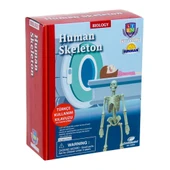 Bilim Seti : İnsan İskeleti thumbnail 2