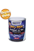 No Nem Rutubet Küf Terleme Önleyici Boya 1 kg - 1