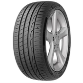 Milestone Carmile Sport 205/55 R17 95W XL Yaz Lastiği - 2023 - 1